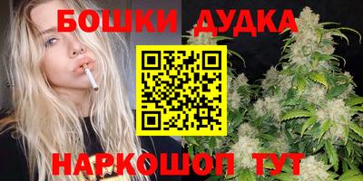 сатива Прокопьевск