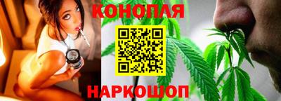 крисы Прохладный