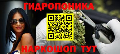 крисы Прохладный