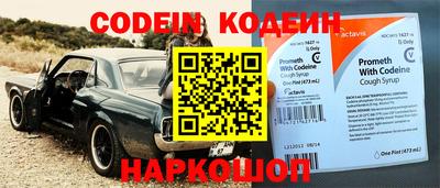 крисы Прохладный