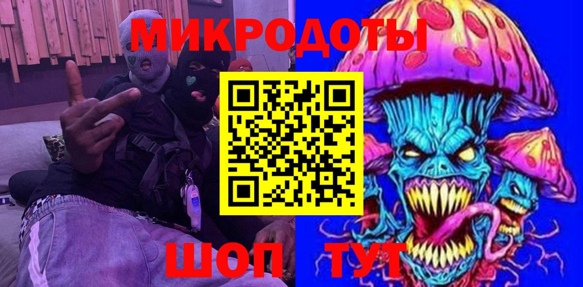 Галлюциногенные грибы Psilocybe Реутов