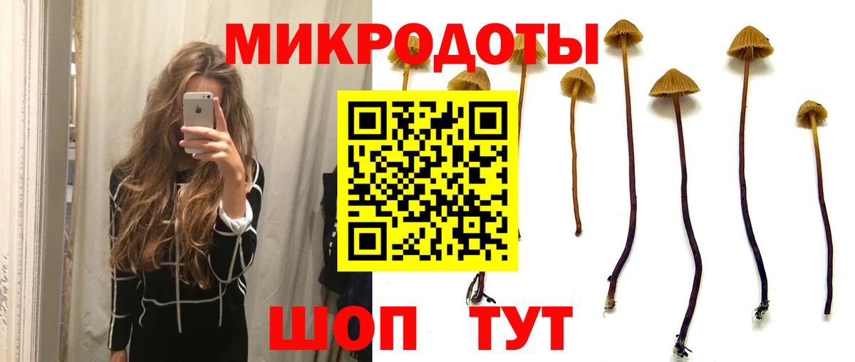 Реутов  Галлюциногенные грибы GOLDEN TEACHER  Вход с VPN 